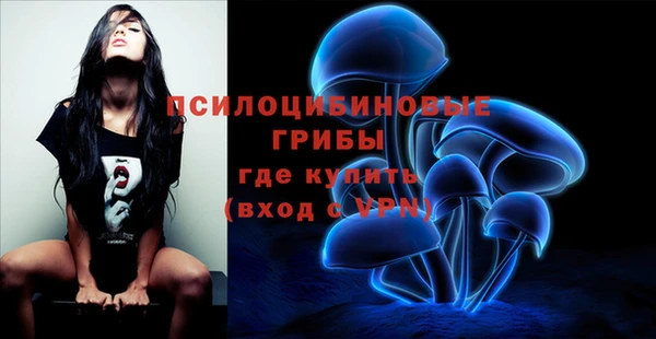 прущие грибы Алзамай