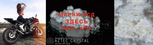 прущие грибы Алзамай