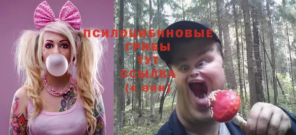 герыч Арсеньев
