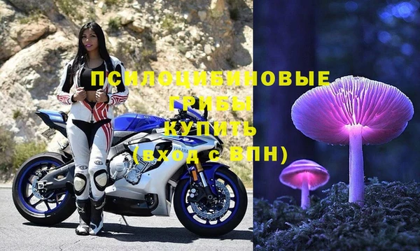 прущие грибы Алзамай