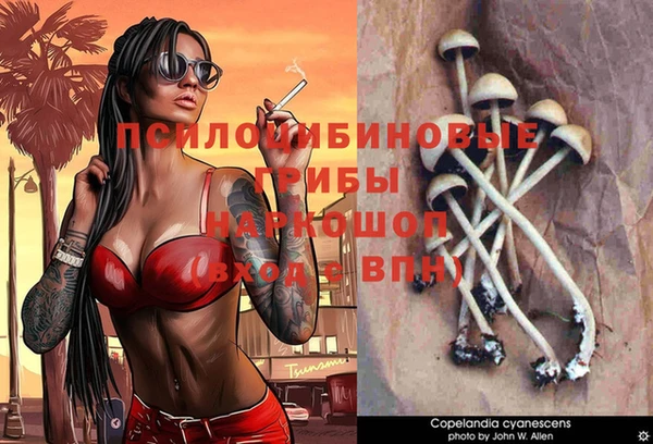 герыч Арсеньев